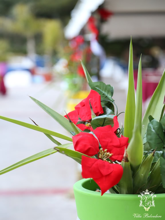 Gli ambient esterni della sala ricevimenti per matrimoni Villa Belvedere